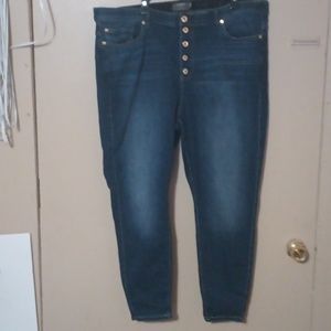 Torrid Bombshell Skinny Jeans